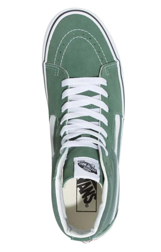 (Q5NYQW) Color Theory Sk8-Hi Shoes - Duck Green