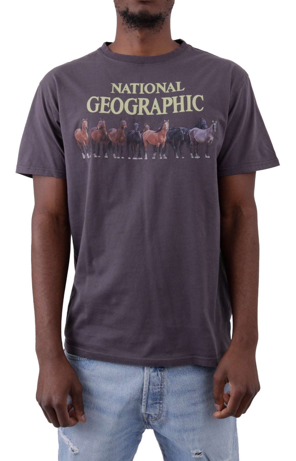 x National Geographic Wild Horses Organic T-Shirt - Black