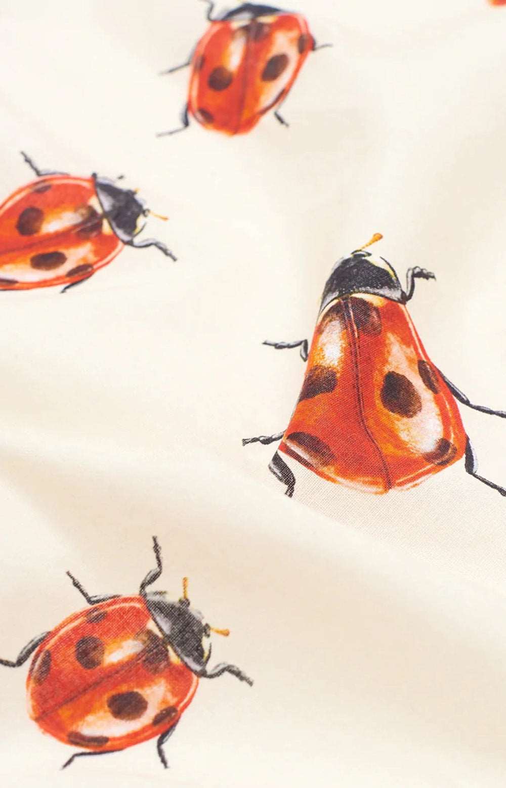 Ladybugs Bandana
