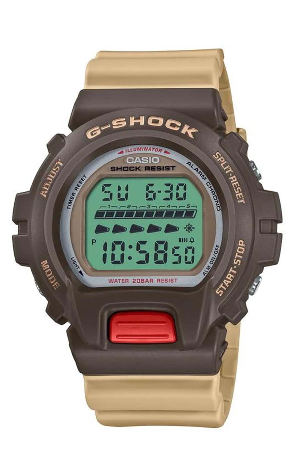 DW6600PC-5 Watch