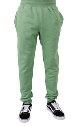 Champion Reverse Weave Jogger in Native Fern Green