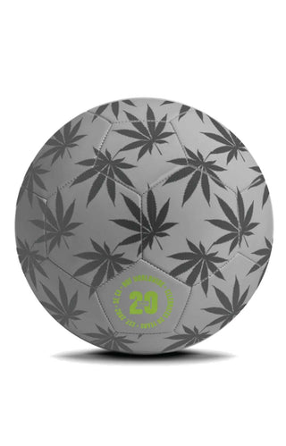 Plantlife Soccer Ball - Reflective