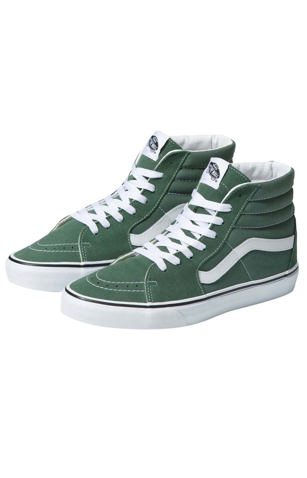 (Q5NYQW) Color Theory Sk8-Hi Shoes - Duck Green