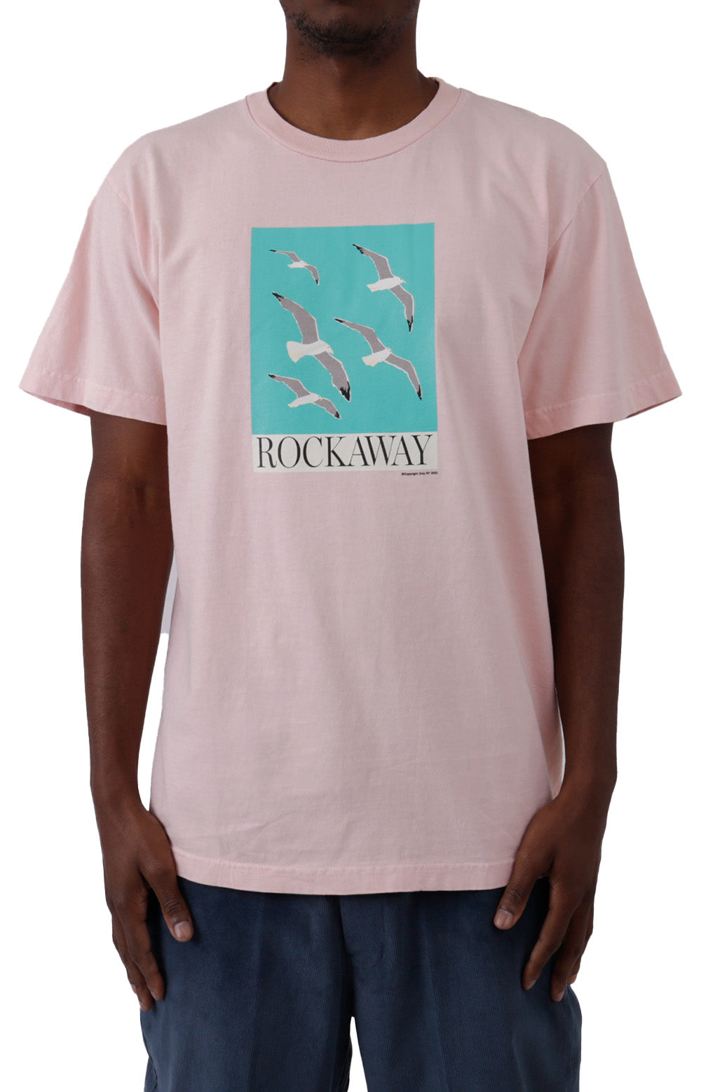 Rockaway Gulls T-Shirt - Pale Pink