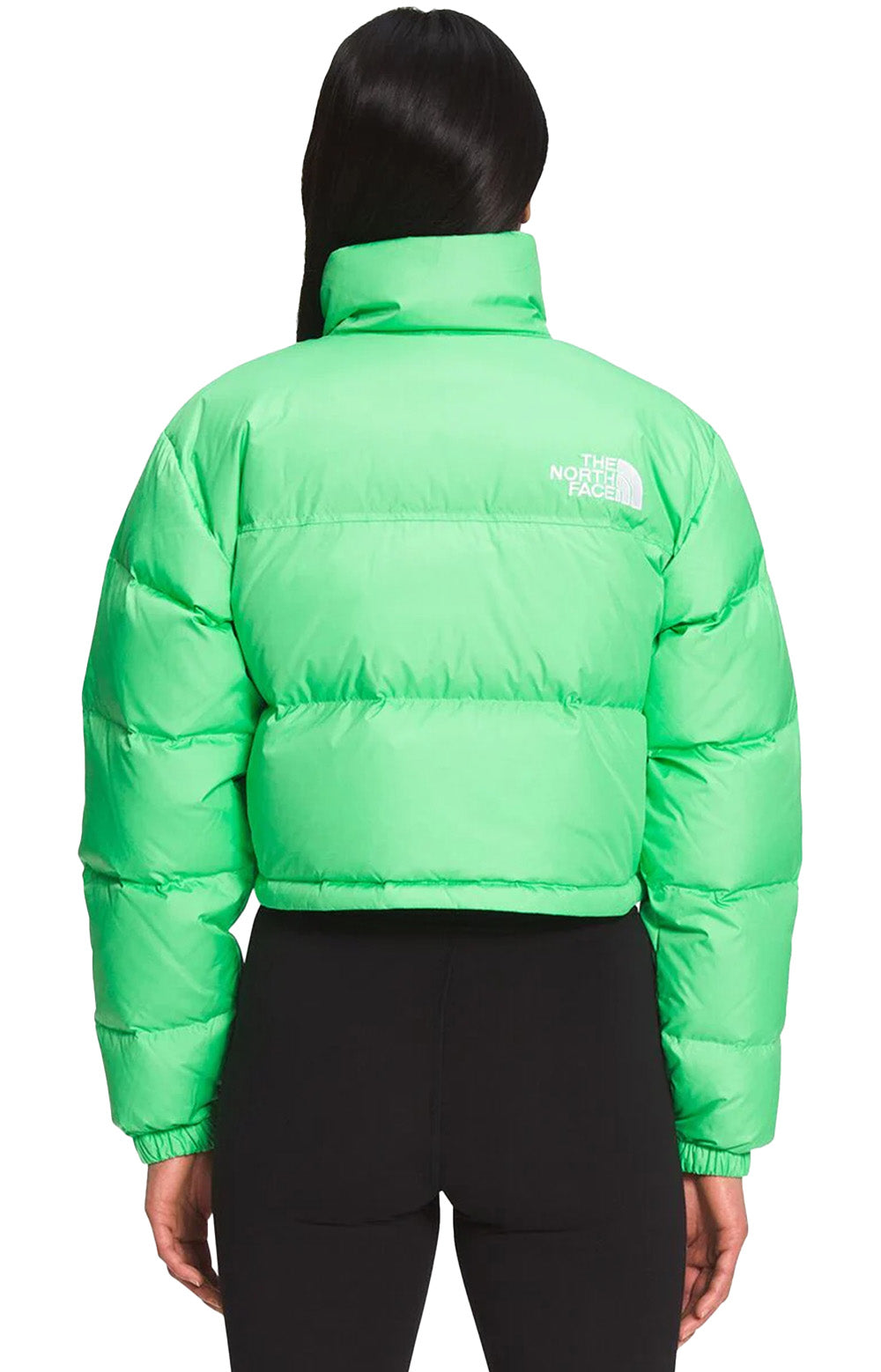 Nuptse Short Jacket - Chlorophyll Green